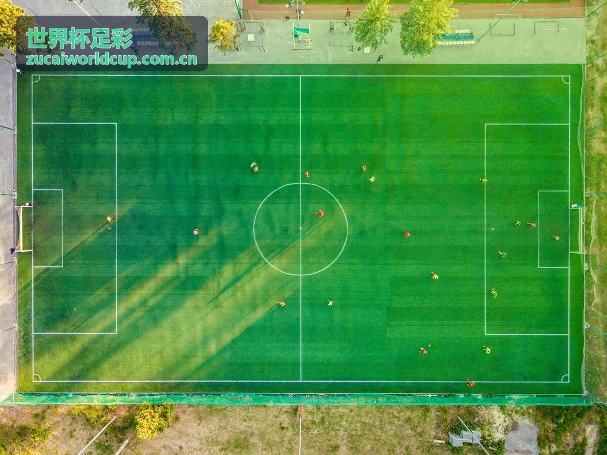 世界杯足彩彩民学院知识库